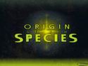 DIRT - Origin of the Species