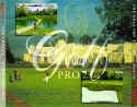 The Golf Pro 2