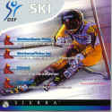 DSF Ski