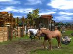Wildlife Park 2: Horses